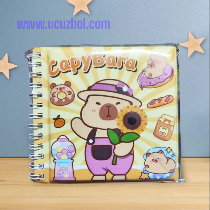 Toptan Capybara Defterleri