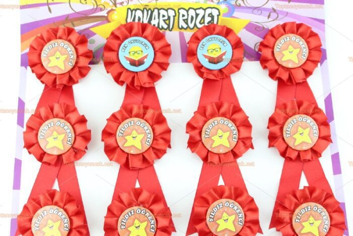 Toptan karışık öğrenci motivasyon kokart rozet