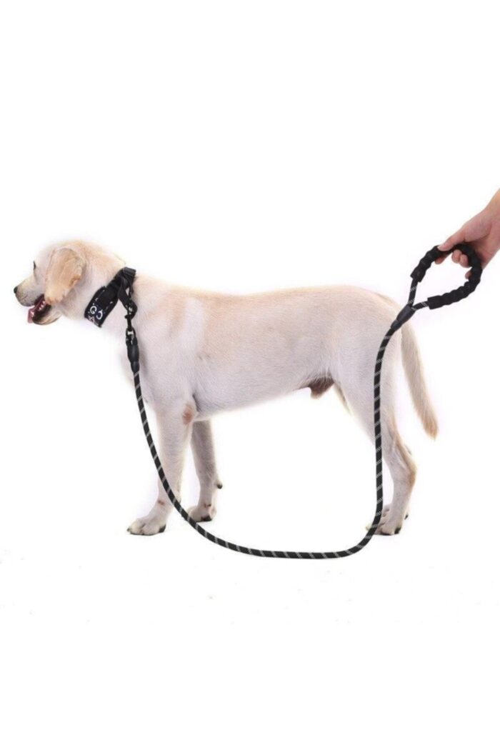 Reflektörlü Siyah Köpek Tasması Toptan - Görsel 5