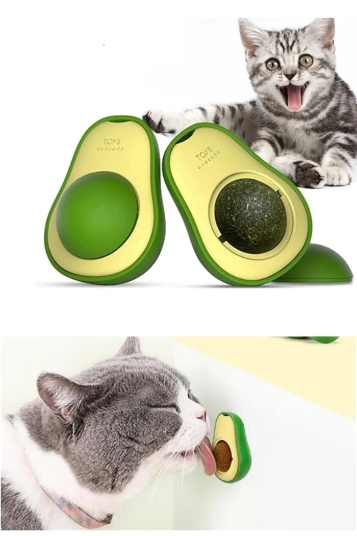 Toptan Avakado Kedi Nanesi Topları