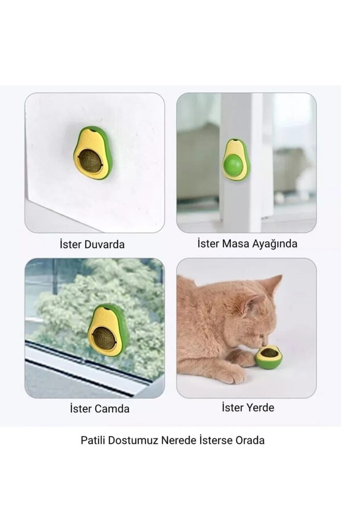 Toptan Avakado Kedi Nanesi Topları - Görsel 3