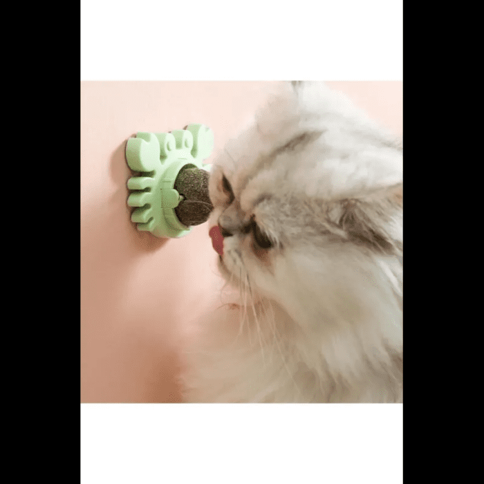 Yengeç Kedi Otu Topu Toptan
