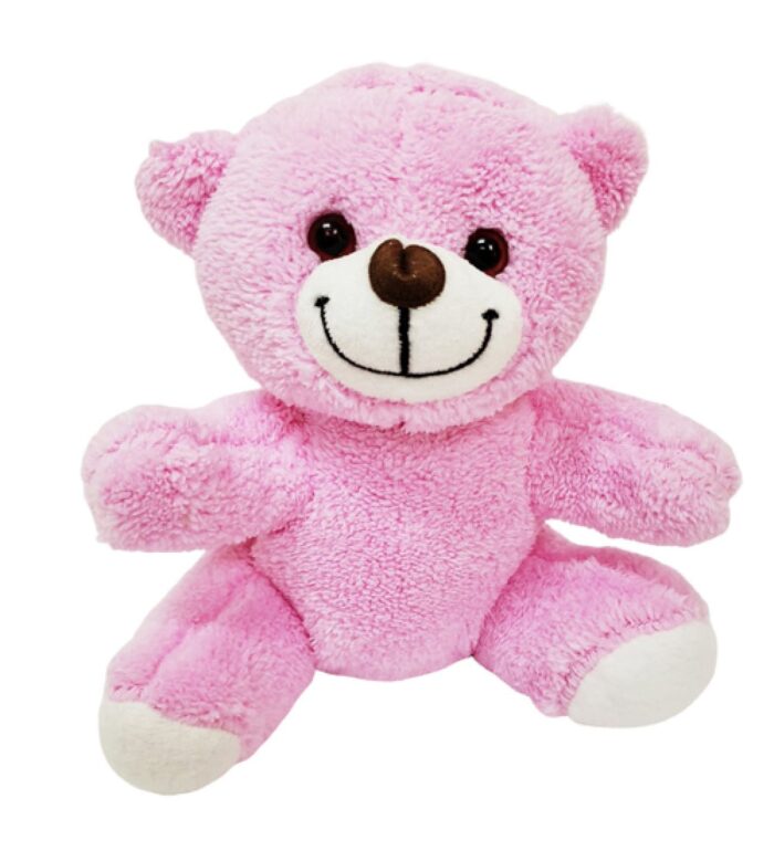 Pembe Peluş Ayıcık 25 cm